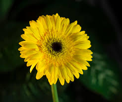 New Certificate Test Course